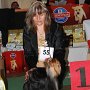 Female Intermediate class<br />YOUR SWEET YORKIE Stříbrné přání - V1, CAC - Alena Bystrianská